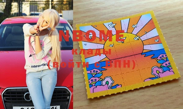 гашик Болотное