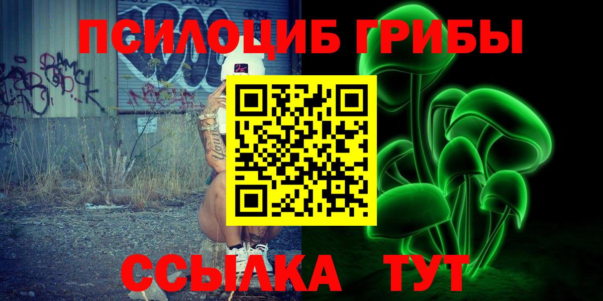 Борзя  Псилоцибиновые грибы Psilocybe  Вход с VPN 